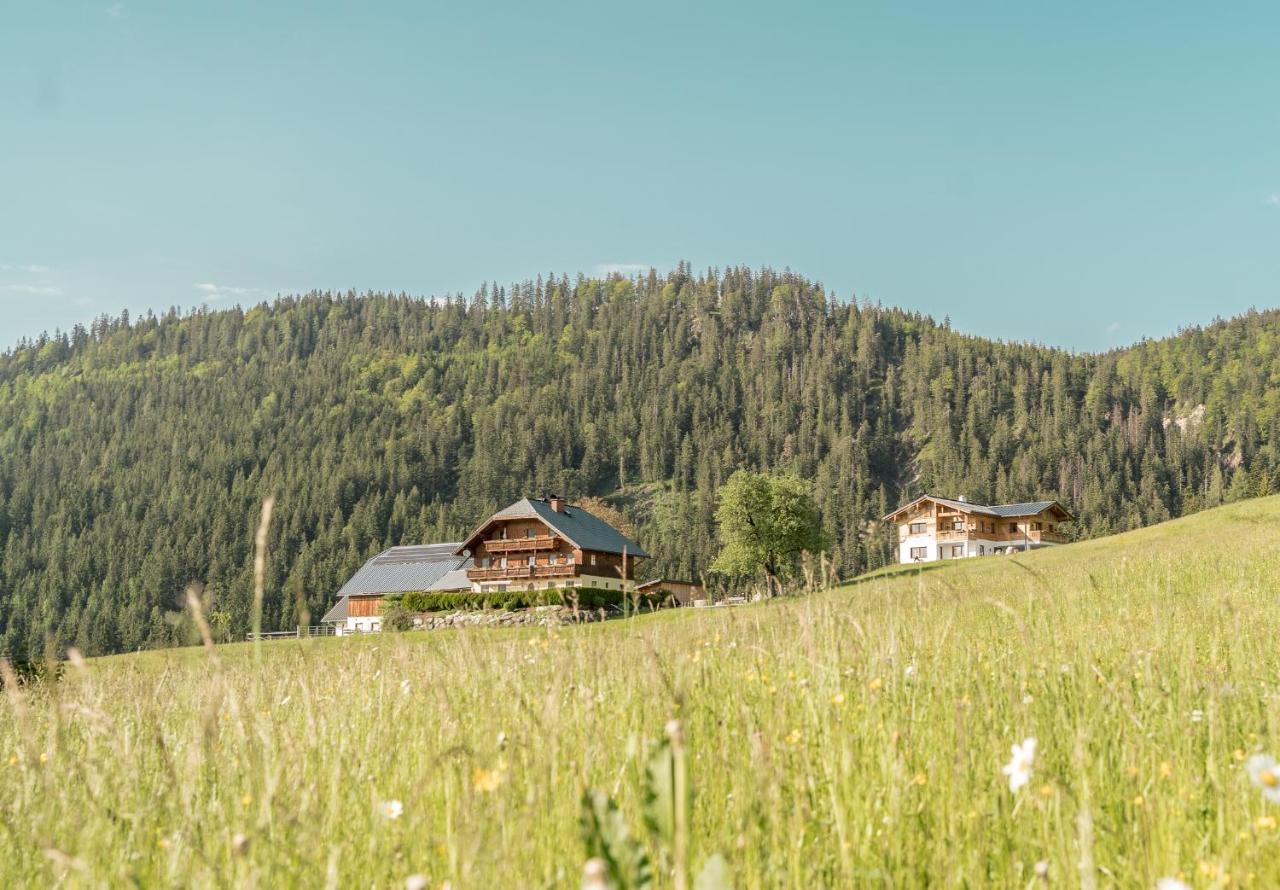 Bio Bauernhof Oberhinterberg Appartement Annaberg im Lammertal Esterno foto